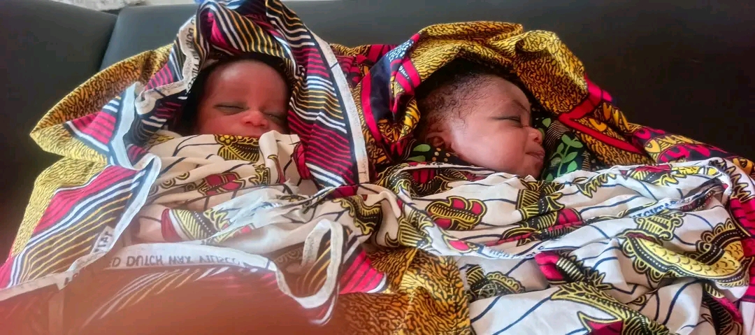 NEWBORN TWINS DUMPED IN BENUE BUSH, RESCUED ALIVE 