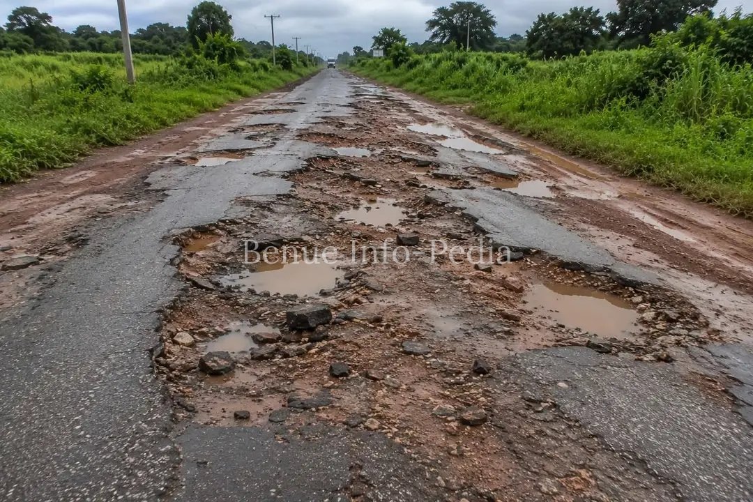 Owukpa Residents Lament Poor Roads, Power Outage, Call on Benue Leaders to Intervene