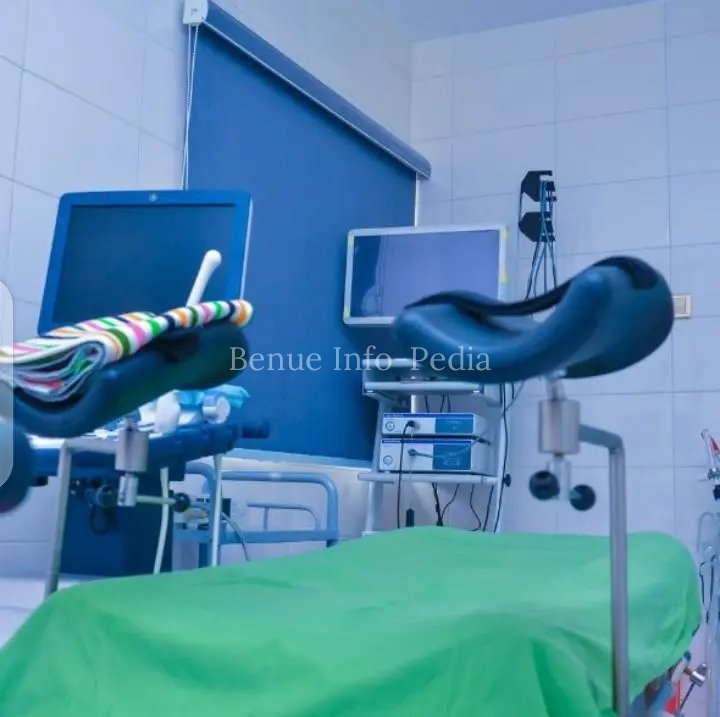Girls Selling Ova for N150,000 to Fund Lifestyles, Plateau Commission Says