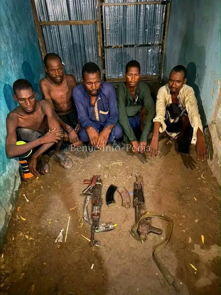 Troops Nab Five Suspected Kidnappers, Seize Weapons During Operation in Borno