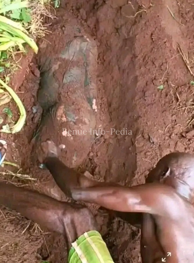 Police Arrest Suspect After Woman's Body Is Reportedly Found Buried Behind Compound in Anambra