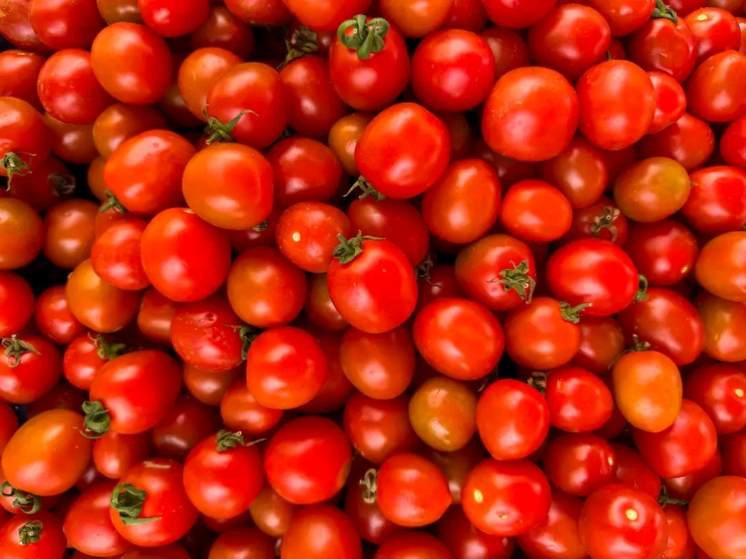 Tomatoes hit ₦170,000 per basket as Abuja residents feel pressure on food costs