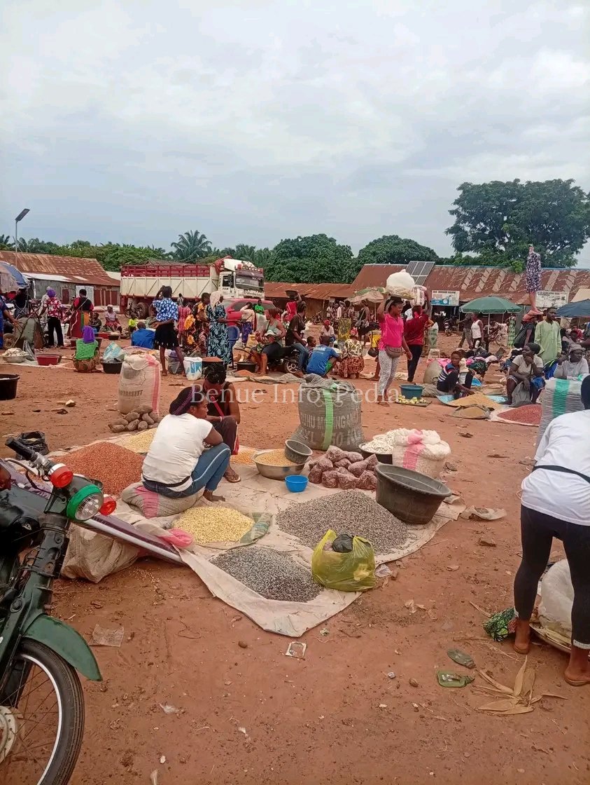 Groundnut Sells for ₦65,000 as Egusi, Bene Seed Retain Premium Prices in Aliade Market