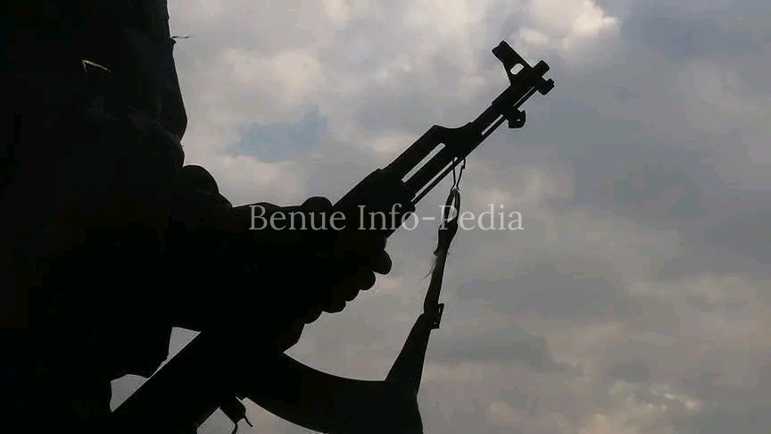 Local Sources: Two Killed, Over 40 Cows Rustled in Suspected Herdsmen Attack on Okpafe Community, Okpokwu