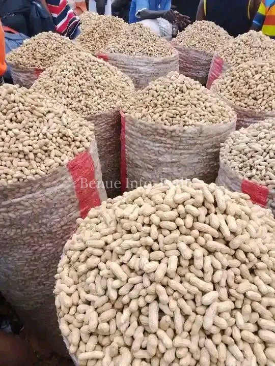 Market Watch: Price Changes Continue to Shape Food Trade in Aliade, Benue