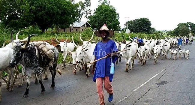 Suspected Armed Herders Kill One in Fresh Attack on Benue Community, Chairman Confirms