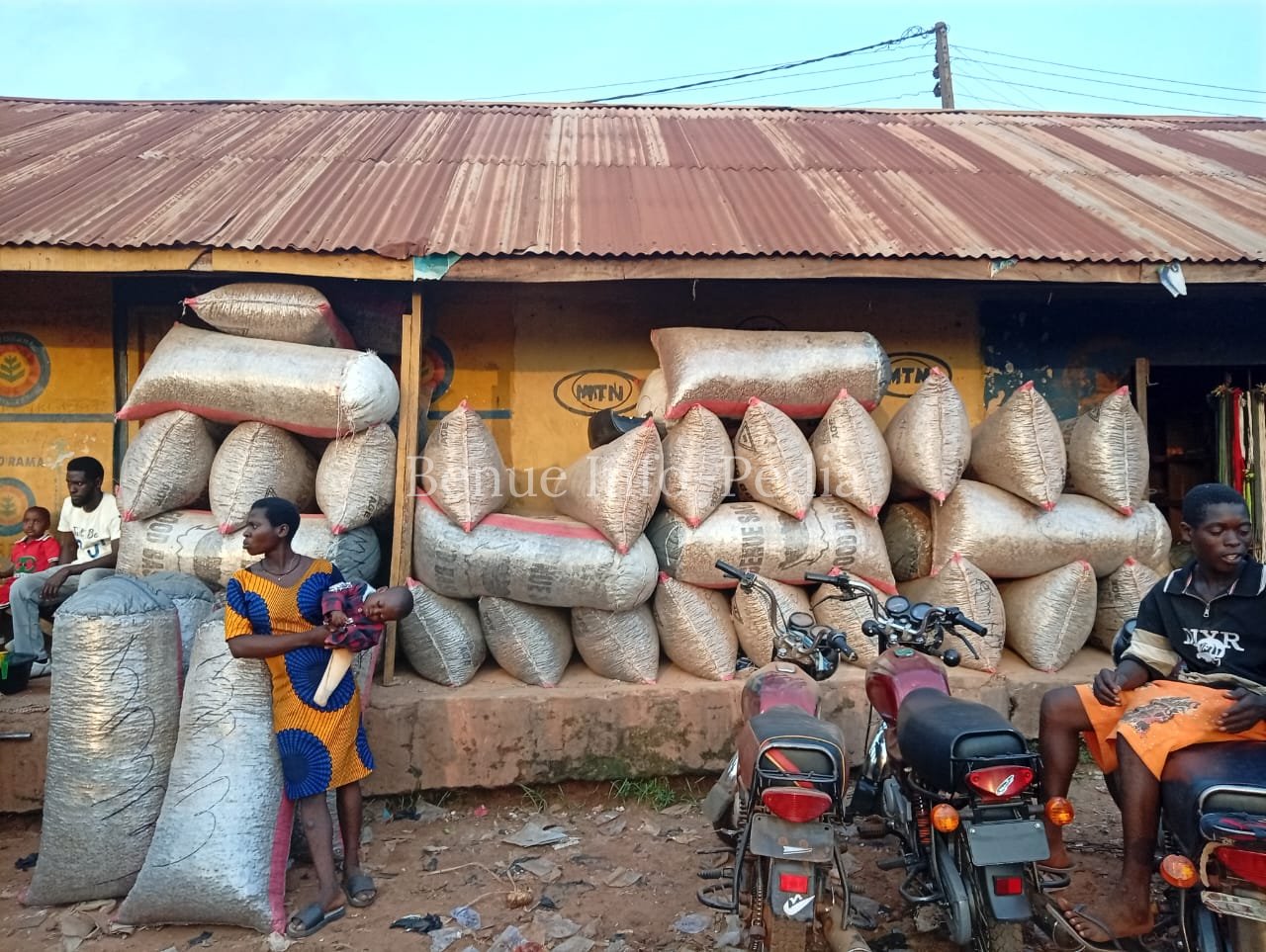Aliade Market Update: Maize Sells for ₦48,000 as Soya Beans Hit ₦100,000 