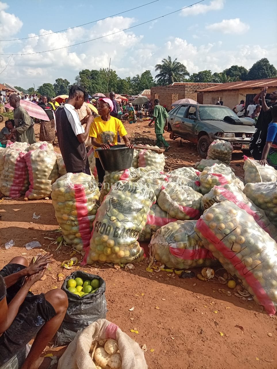 Aliade Market Prices Today: Groundnut ₦50,000, Bene Seed ₦170,000