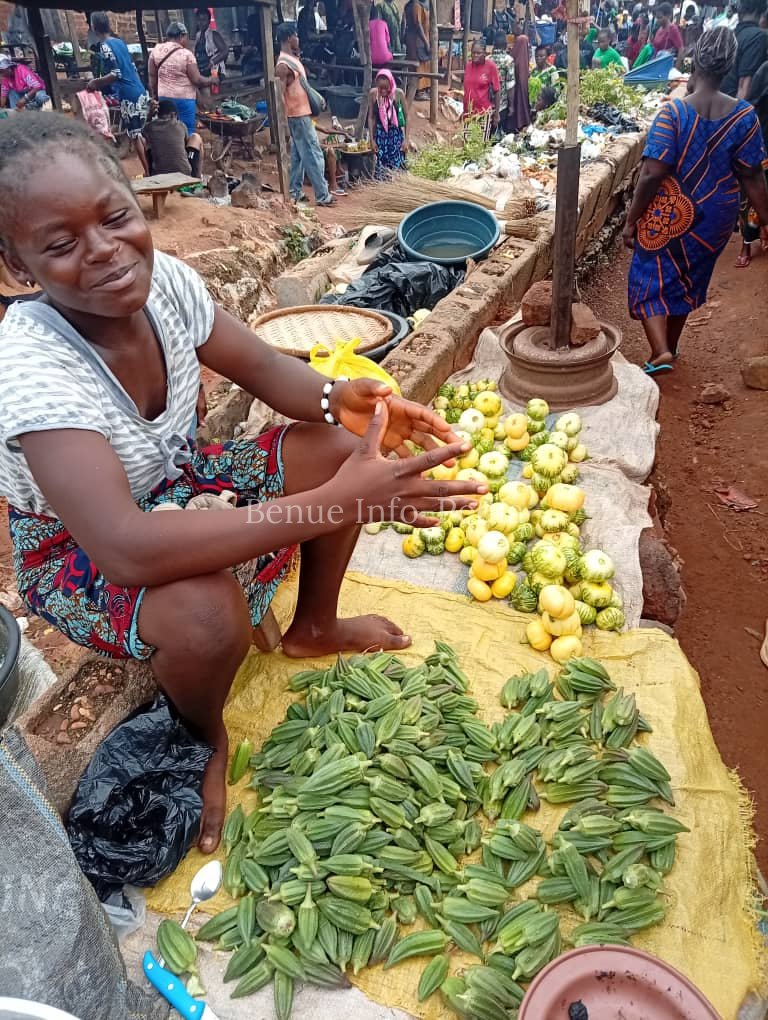 Benue Market Intelligence: Groundnut, Maize, Egusi and Other Commodity Prices Recorded in Aliade