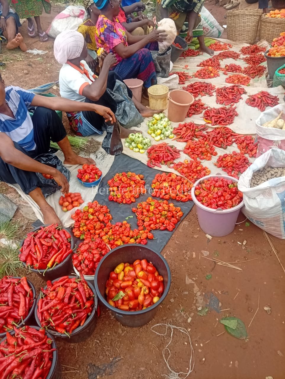 Aliade Market Price Watch: Benue Info-pedia Records Fresh Commodity Prices