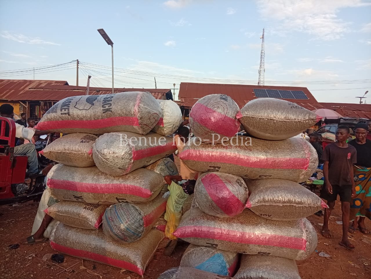 Aliade Market Watch: Groundnut, Soybeans, Egusi and Beniseed Prices Recorded on September 23