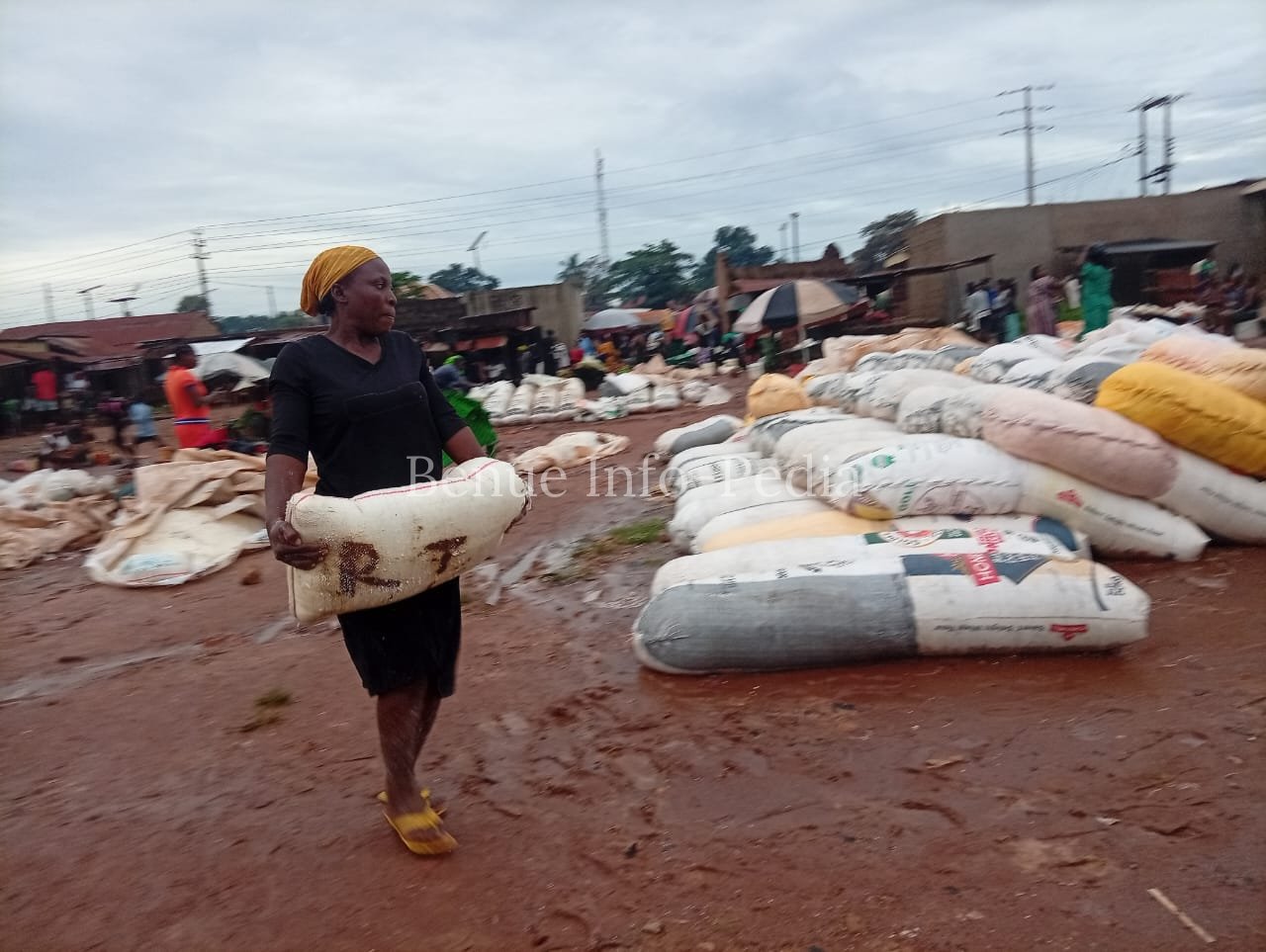 Aliade Market Survey Records Prices of Key Food Commodities
